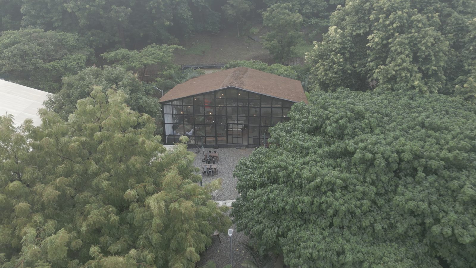 Image before the grade, Glass, sand, and trees